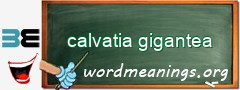 WordMeaning blackboard for calvatia gigantea